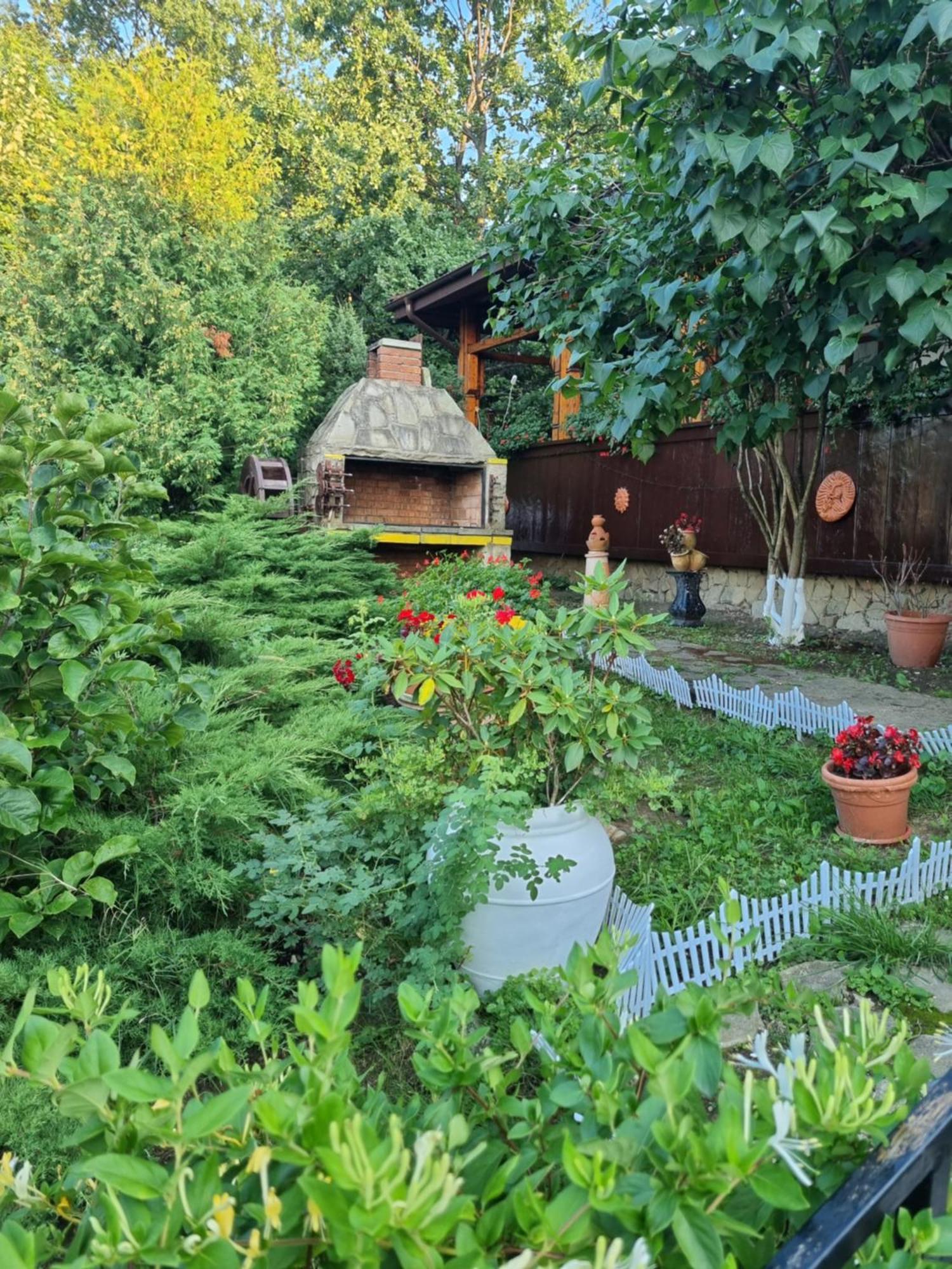 מלון יאשי Casa Boiereasca מראה חיצוני תמונה
