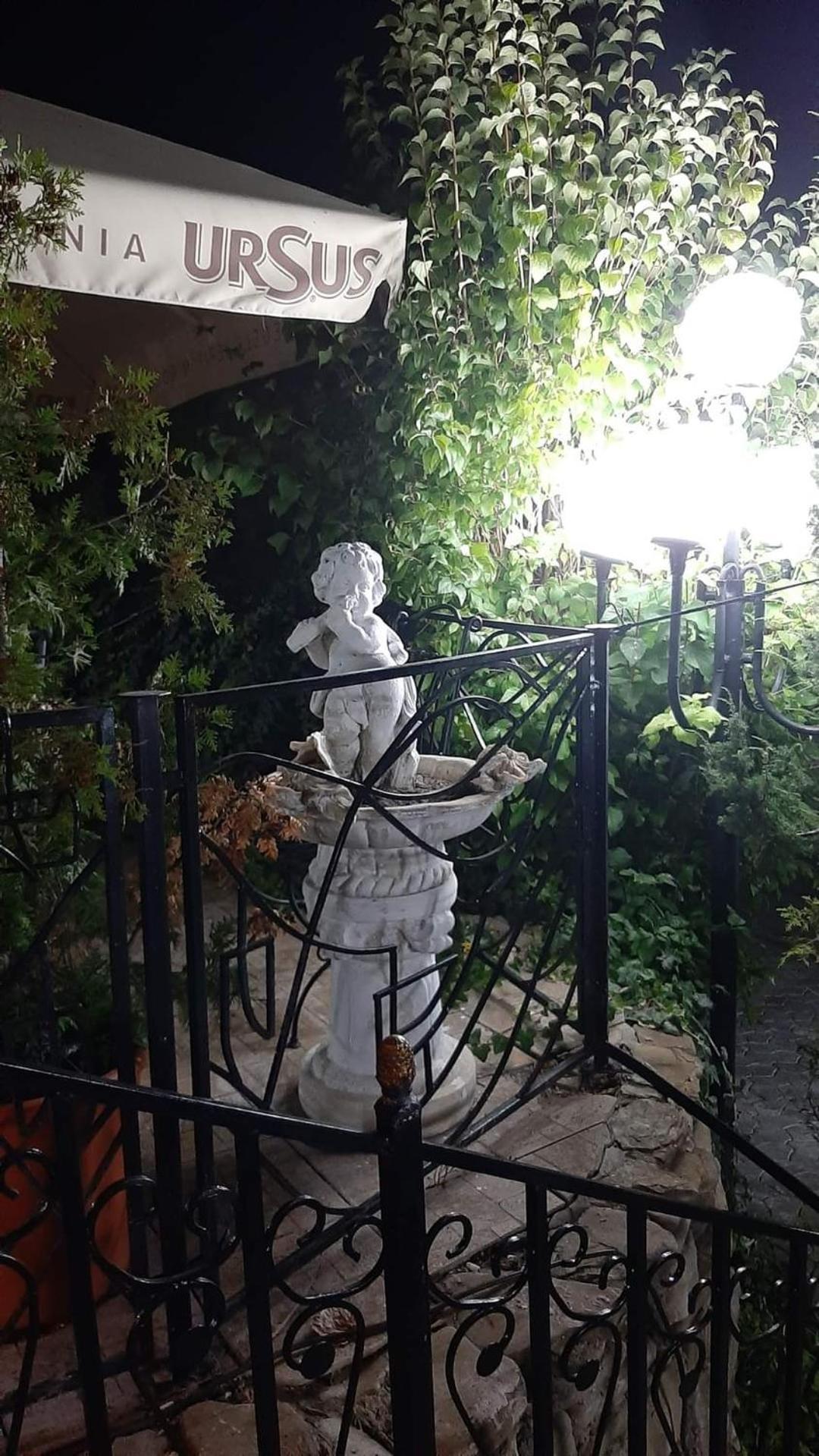 מלון יאשי Casa Boiereasca מראה חיצוני תמונה